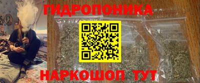 индика Пыть-Ях