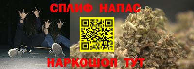 МДПВ Пушкино
