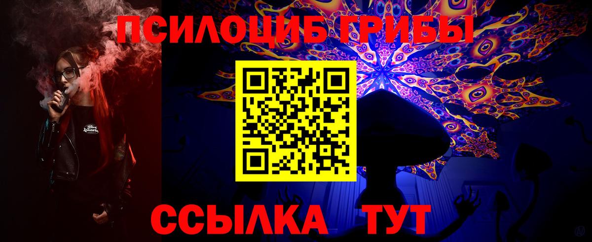 Галлюциногенные грибы Magic Shrooms Чернушка