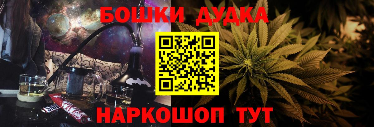 Канабис планчик Чернушка